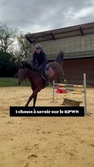 3 choses à savoir sur le KWPN