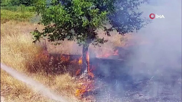 Sakarya’da ormanlık alanda yangın: Ekipler seferber oldu