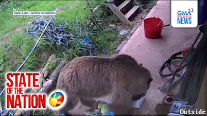 2 osong nakatakas,nilantakan ang honey at nag-pass out | SONA