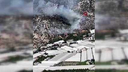 Finike’de çıkan orman yangını kontrol altına alındı