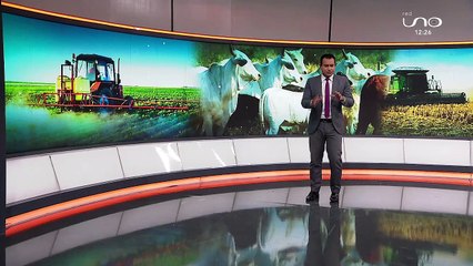 CONCLUSIONES DEL FORO AGROPECUARIO