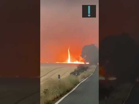 Chile decreta estado de catástrofe por incêndios florestais, que mataram mais de 20 pessoas #shorts