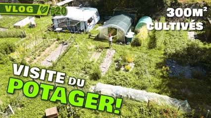 🌱 Découvrez Mon Potager de 300m² : Tour Complet et Astuces de Jardinage !