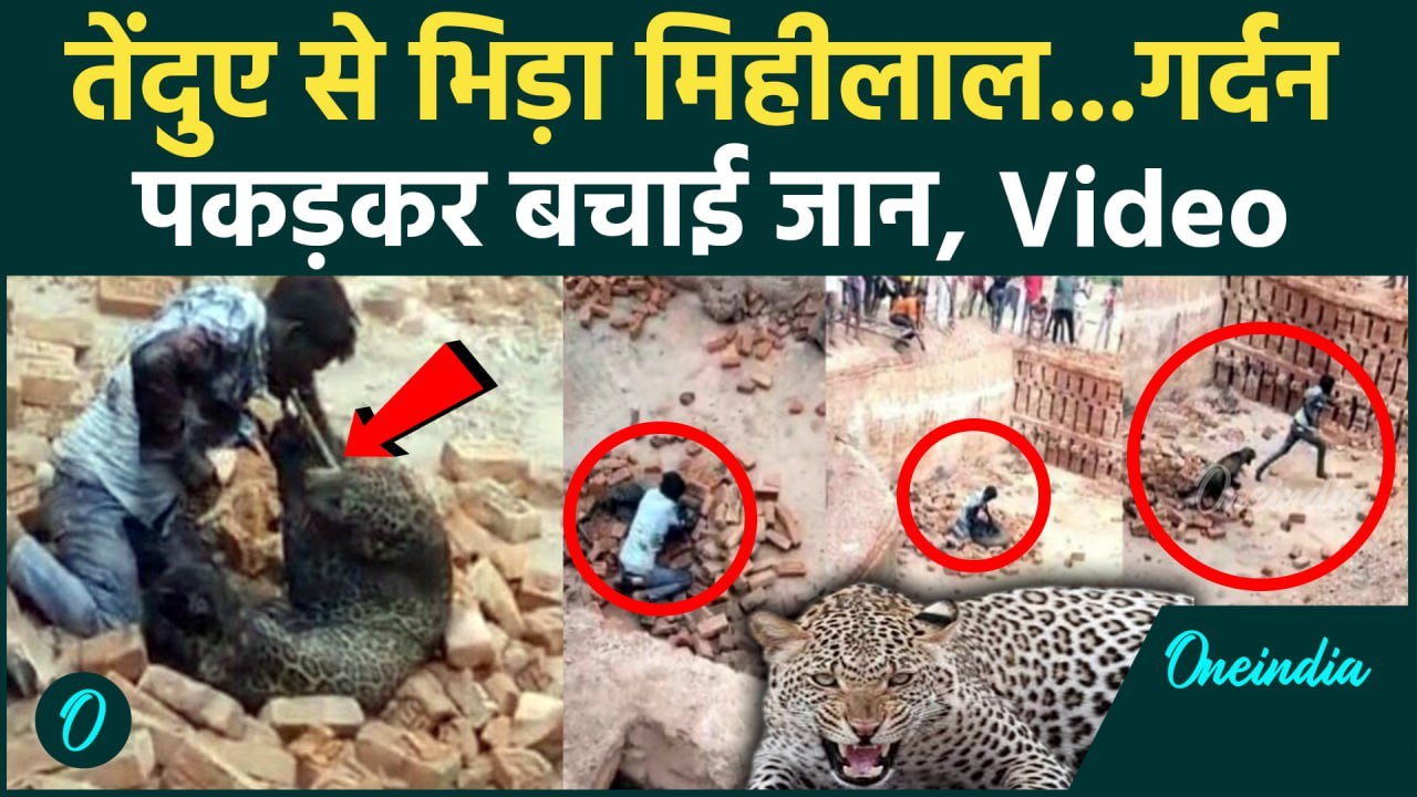 Lakhimpur Kheri  का मिहीलाल बन गया असली हीरो, तेंदुए से लड़ाई का वीडियो वायरल | Leopard Attack |