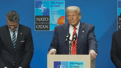 Trump responds to Nato head’s ‘daddy’ remark: ‘I think he likes me’