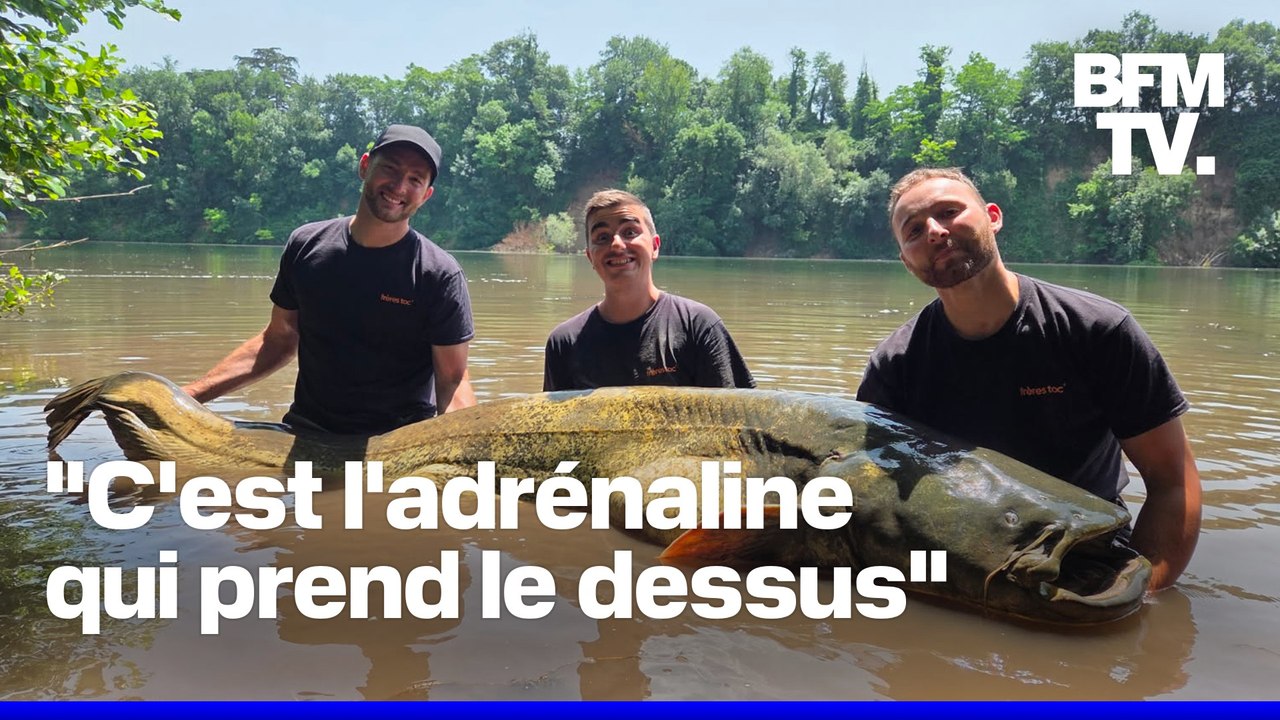 ROBIN DE BFM - Ils battent le record de France du plus gros silure jamais pêché
