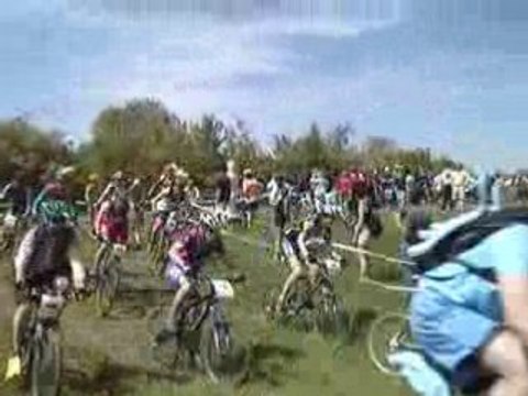 Départ des crapauds 2008