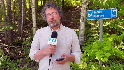 BULLETIN CHAU MIDI 25-06-25