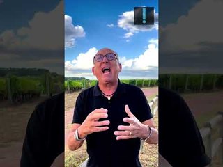 “Além de não ser bom, não tem bom caráter”, diz Galvão Bueno sobre o treinador do Flamengo #shorts