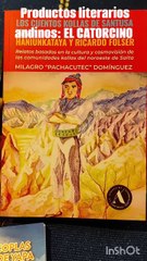 El libro sobre "Catorcino", el único héroe andino, hace furor en las aulas de Salta