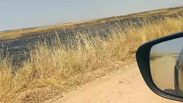 Fuensalida sufre un nuevo incendio con cinco focos distintos