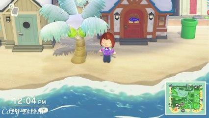 A Sunny Day in Zara Land! – Animal Crossing New Horizons Gameplay