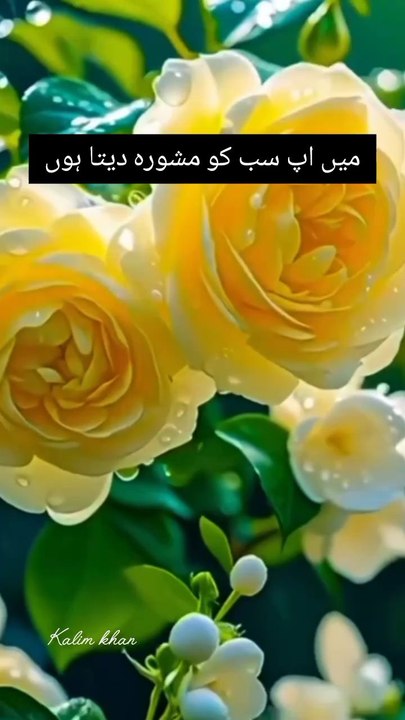 main aap sabko mashvara deta hun short video 💕💕💕