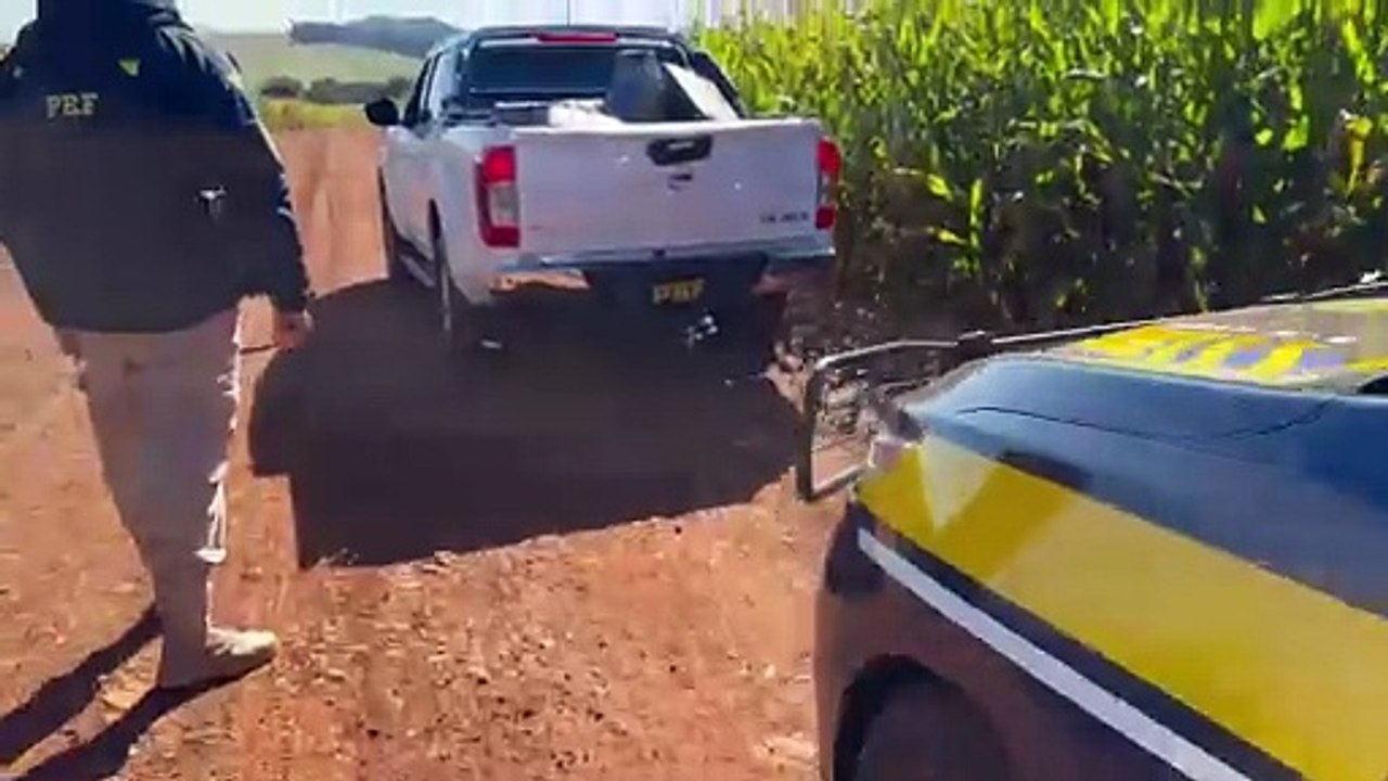 PRF apreende 965,5 quilos de maconha durante fiscalização na PR-323 - 2
