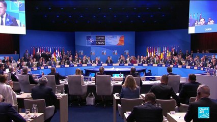 Flatterer-in-chief? NATO's Rutte handling of Donald Trump raises eyebrows