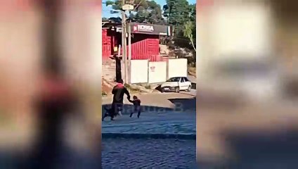 Rottweilers soltos atacam pai e criança no Centro de Colombo
