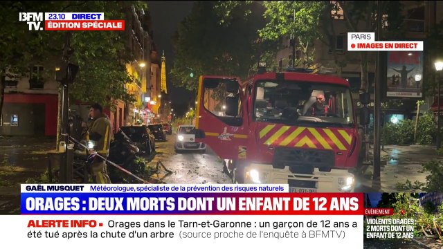 Orages: deux personnes dont un enfant de douze ans tuées en Mayenne et dans le Tarn-et-Garonne à cause de chutes d'arbres