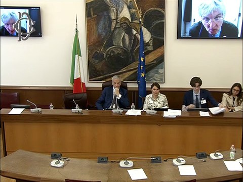 Roma - Indagine conoscitiva Centri oncofertilità - Audizione - Pasquale De Rosa, Azienda ospedaliera universitaria Federico II di Napoli; Associazione Luca Coscioni per la libertà di ricerca scientifica (25.06.25)