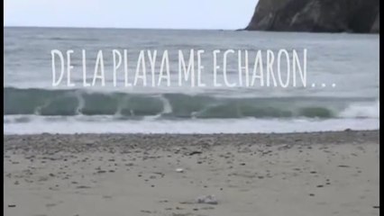 Descubre Las Mejores Playas Para Perros: Diversión sin límites