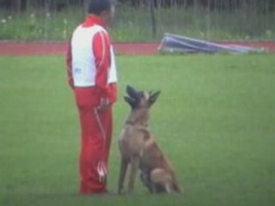 FMBB-2008-UO-Yamaguchi/Carlos