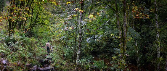 Cabin Fever | Full Movie