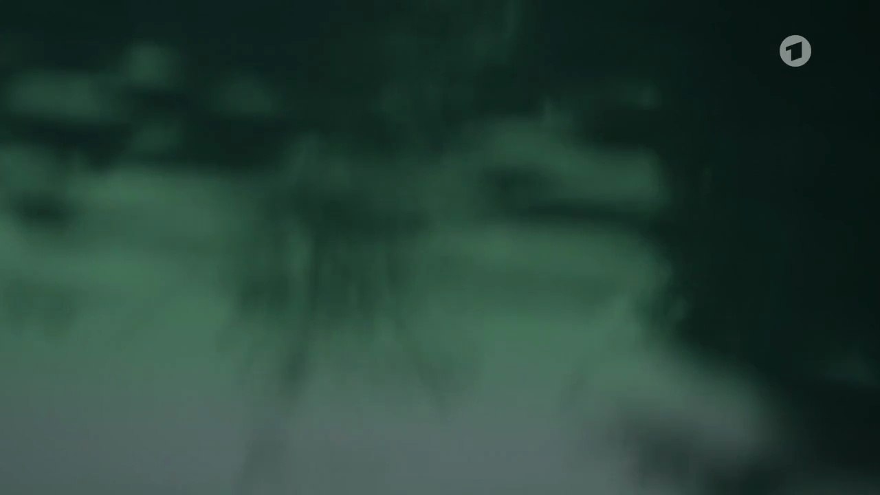 3 Der Masuren Krimi -03- Marzana Gottin des Todes - video Dailymot