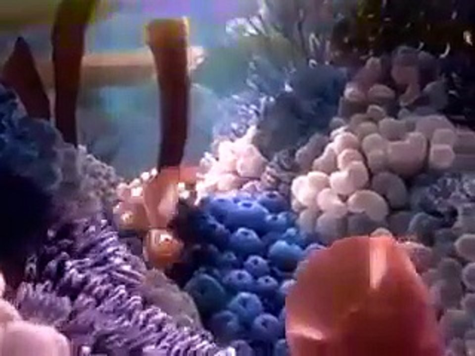 Finding Nemo