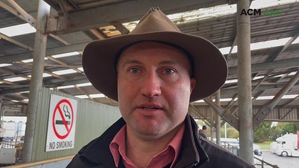 Leongatha Store Prices Keep Rising Amid Strong Northern & Feedlot Buyer Activity 📈