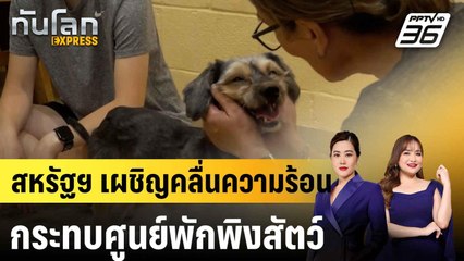 ชุมชนสหรัฐฯ แห่ช่วยศูนย์พักพิงสัตว์ รับมือคลื่นความร้อน |ทันโลก EXPRESS | 26 มิ.ย. 68