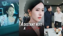 A Distant Wife, A Close Lover Full Chinese Drama