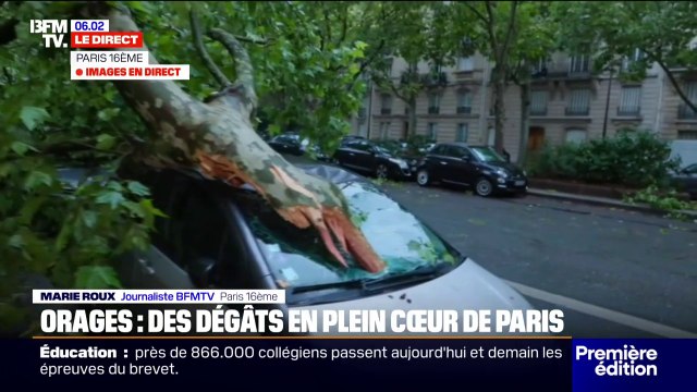 Orages: de nombreux arbres couchés et véhicules endommagés à Paris