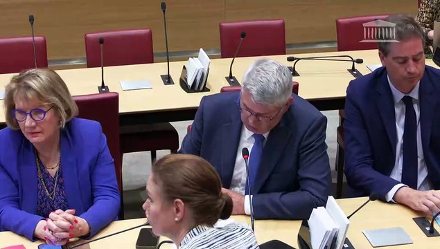 Commission du développement durable : Mme Sylvie Landriève, directrice du Forum Vies Mobiles sur les alternatives à la voiture ; Rôle du transport ferroviaire dans le désenclavement des territoires - Mercredi 25 juin 2025