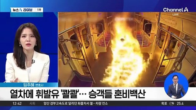 아찔했던 지하철 방화 순간…“승객 160명 살해 시도”