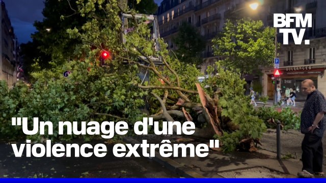 Arbres coupés, inondations...Les images impressionnantes des orages qui ont fait deux morts