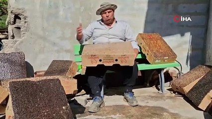 Kartonla binlerce karasineği yakaladı, yöntemi görenleri şaşırttı!