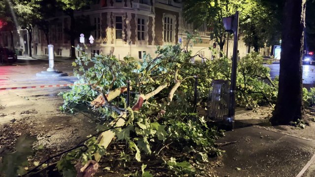Un arbre bloque le Bld Malesherbes suite au déluge à Paris, France, le 25 juin 2025. © Elie Chocron / Bestimage