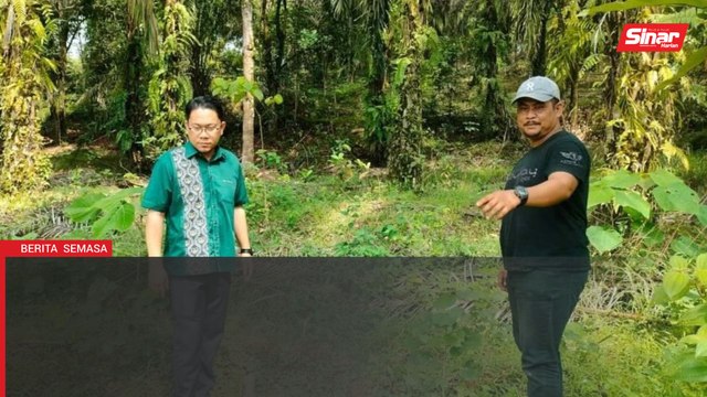 Penduduk bimbang ancaman harimau belang kembali