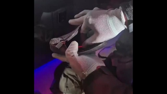 '남성 전용 수면방'서 마약 투약한 일당 검거 / YTN