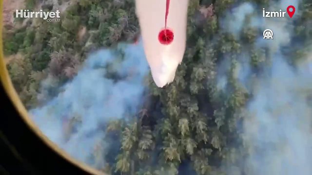 İzmir'in Aliağa ilçesindeki orman yangını kontrol altına alınmaya çalışılıyor