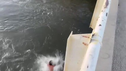 Man Hits Railing While Jumping From Bridge Into Water