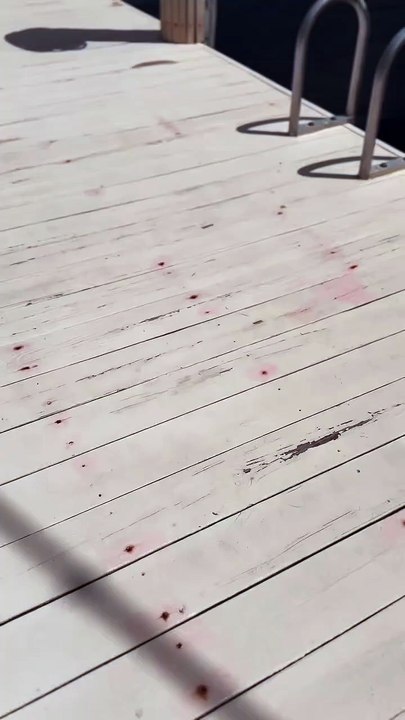 Expert Dock Painting & Weatherproofing – John "The Greek" Painting