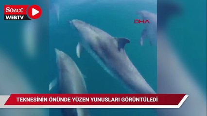 Teknesinin önünde yüzen yunusları görüntüledi