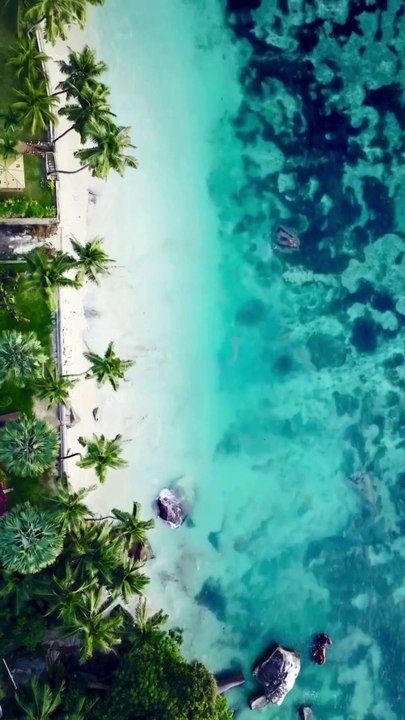 Escape to Seychelles: Your Next Island Paradise Awaits.