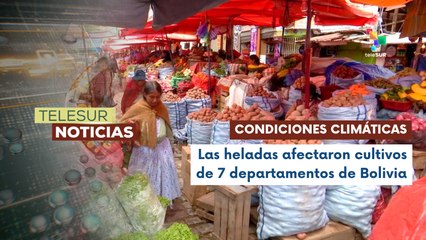 Garantía de abastecimiento alimentario en Bolivia