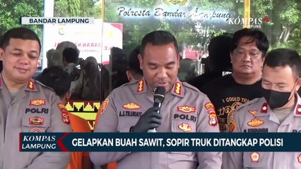 Gelapkan Buah Sawit, Sopir Truk Ditangkap Polisi