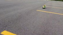 parrot driving tiny car!🤣🤣🤣