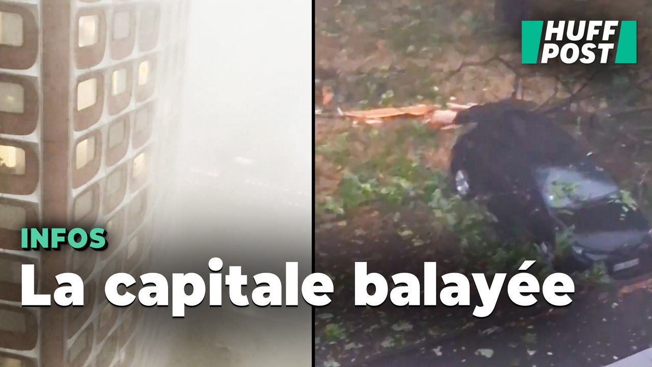 Orages à Paris : les images impressionnantes des arbres déracinés et des rafales de vent à plus de 100 km/h
