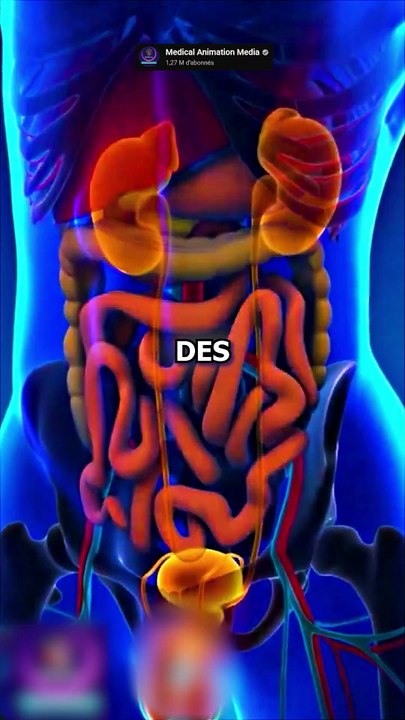 Ne faites plus PIPI debout !
