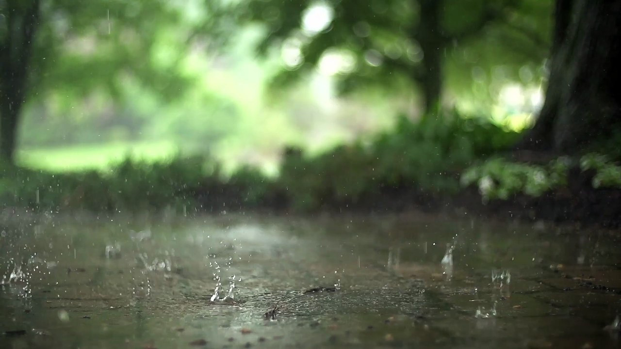 video31