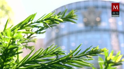 Caro Quintero aún podría ser condenado a muerte por Estados Unidos